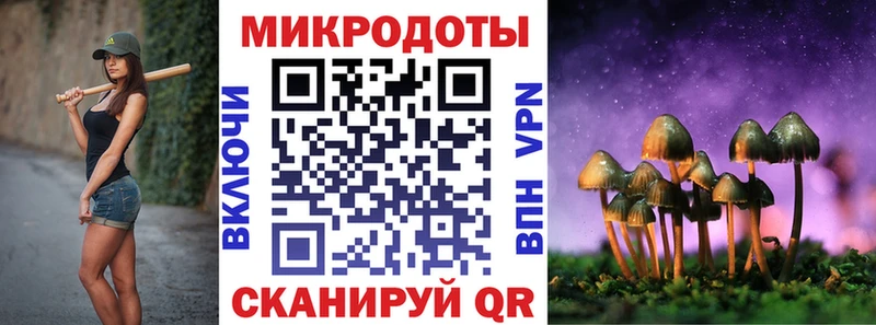 Купить где  Дагестанские Огни  Галлюциногенные грибы Cubensis 